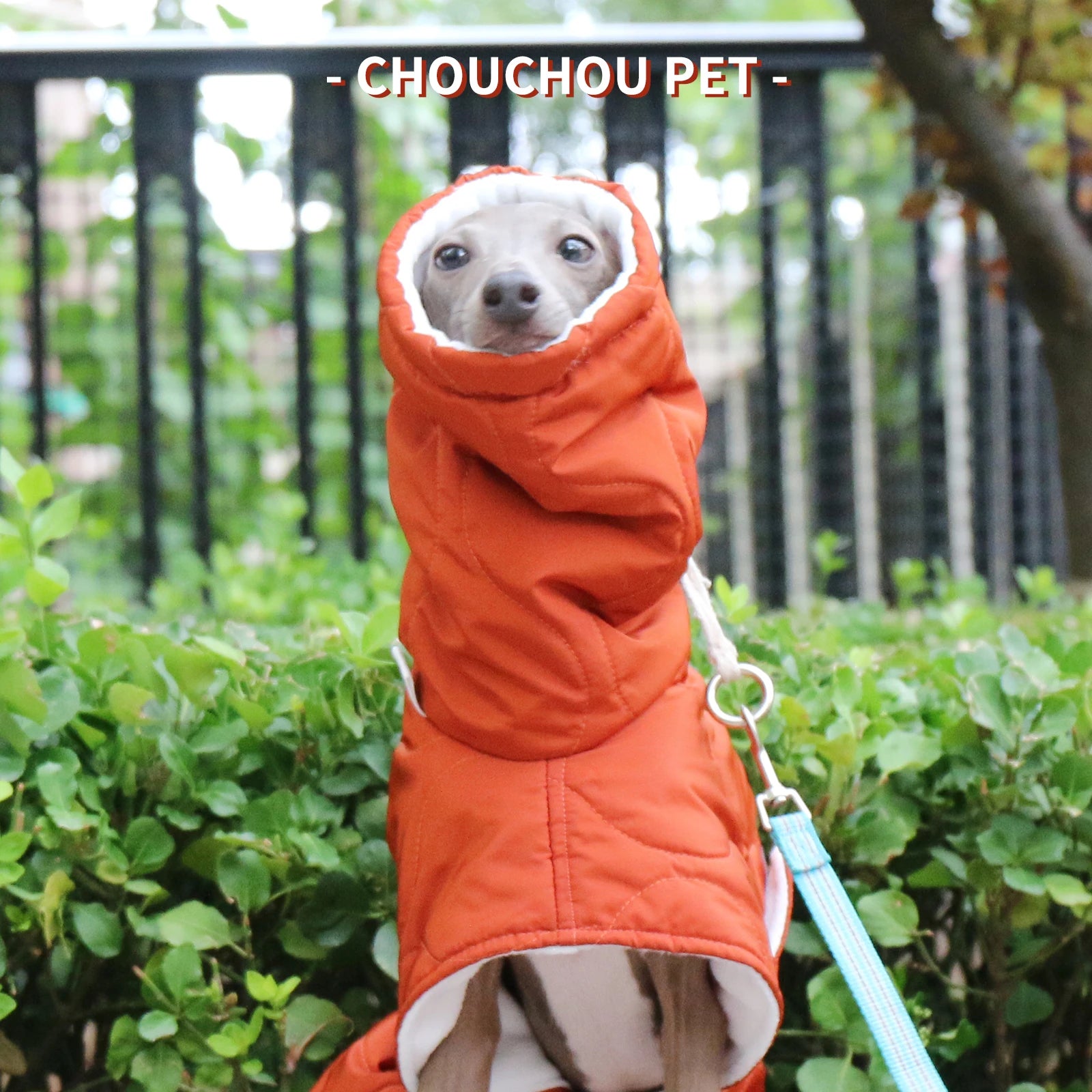 Winter Dog Outer Orange Quilted Turtle Collar Dog Coat Warm Italian Greyhound Adjustable Cotton Whippet