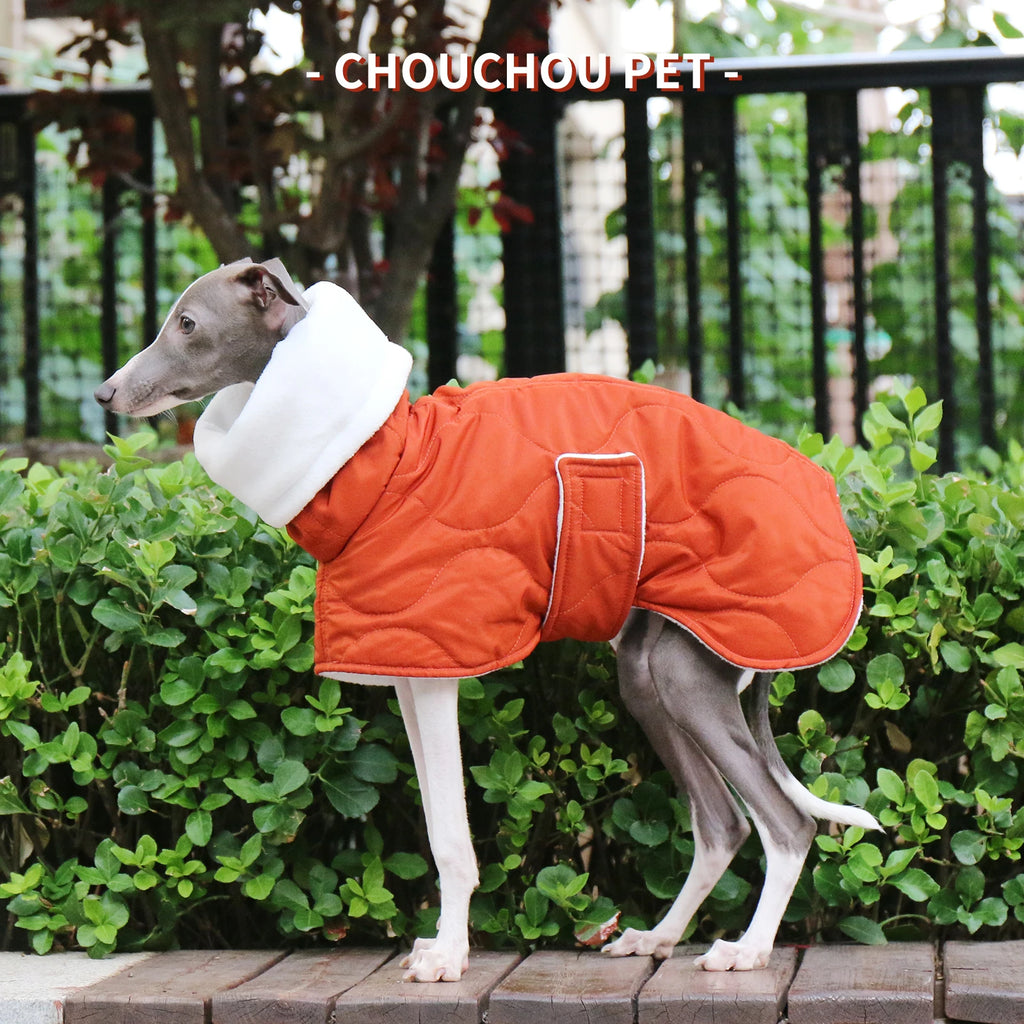 Winter Dog Outer Orange Quilted Turtle Collar Dog Coat Warm Italian Greyhound Adjustable Cotton Whippet
