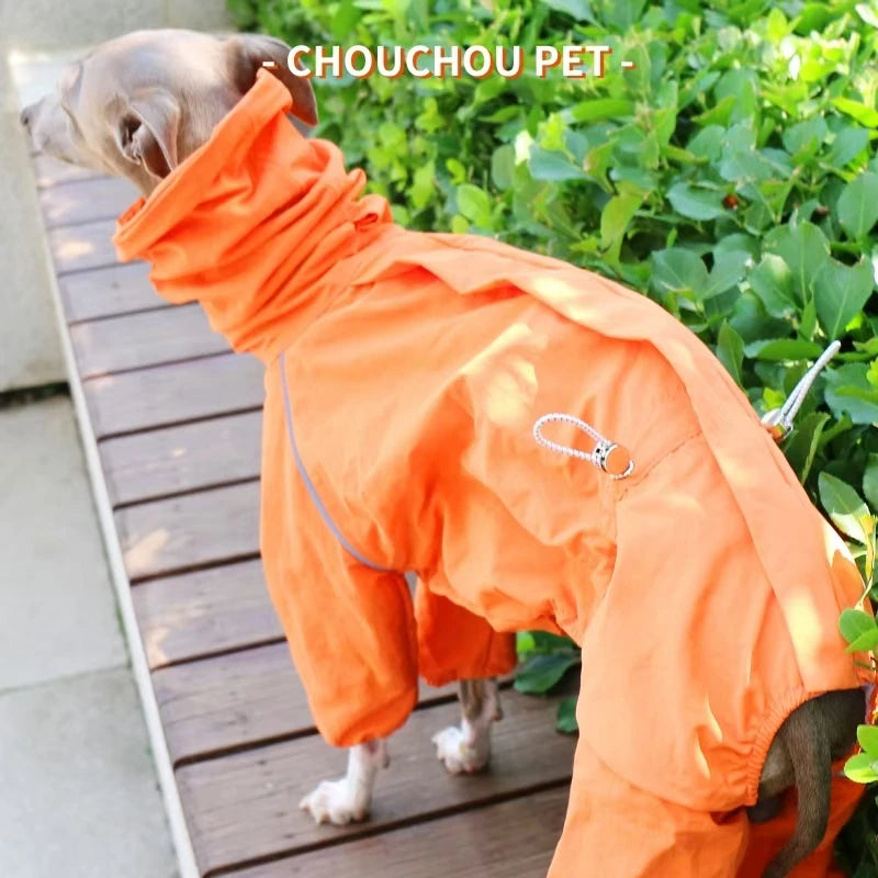 Italian Greyhound Raincoat Autumn and Winter Outdoor Pet Jacket Whippet Windproof and Rainproof Dog Clothes