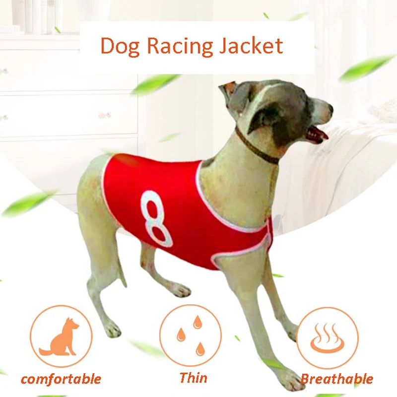 Pet Dog Clothes Vest Jackets Whippet Greyhound Suit Jersey Breathable Pets T-Shirt for Summer