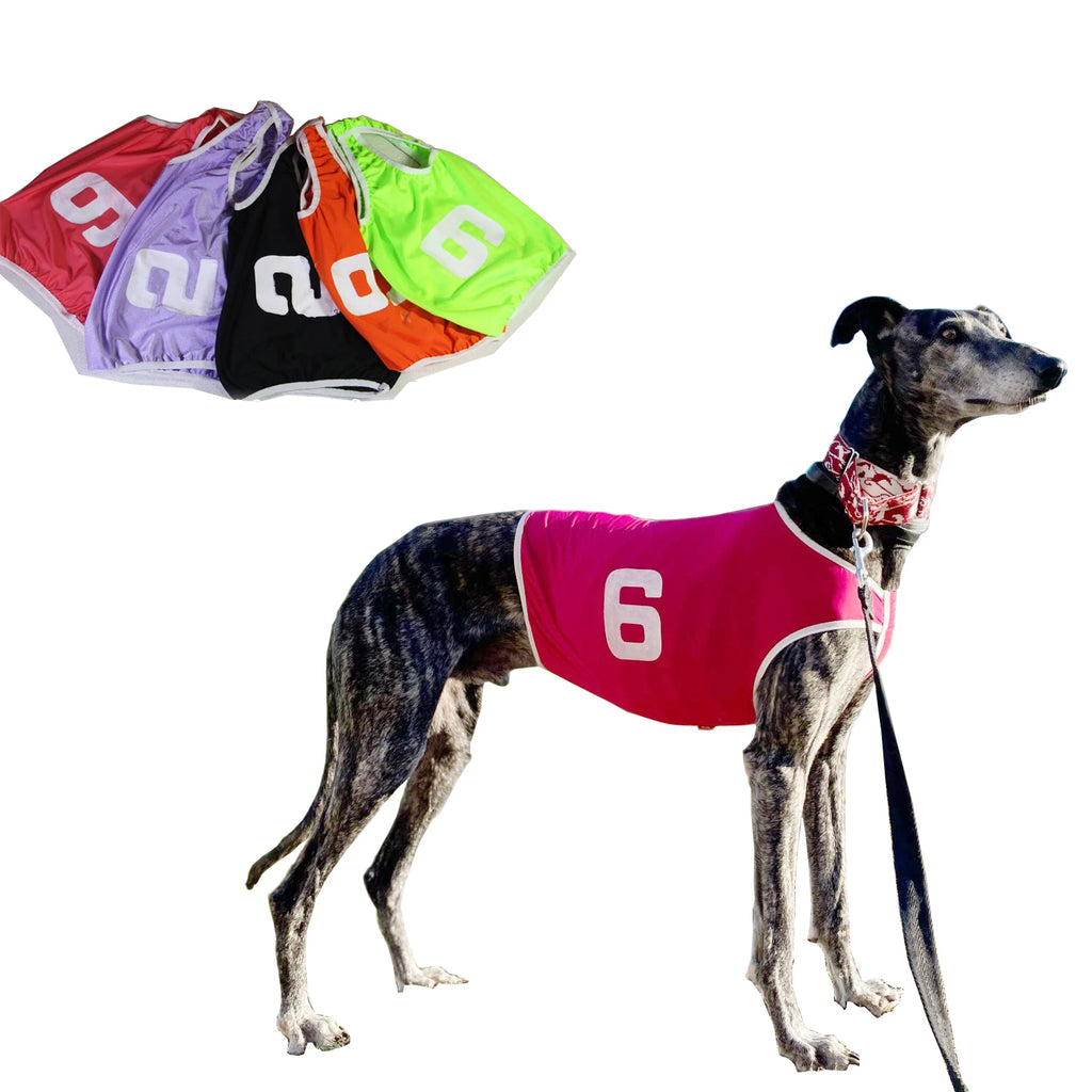 Pet Dog Clothes Vest Jackets Whippet Greyhound Suit Jersey Breathable Pets T-Shirt for Summer