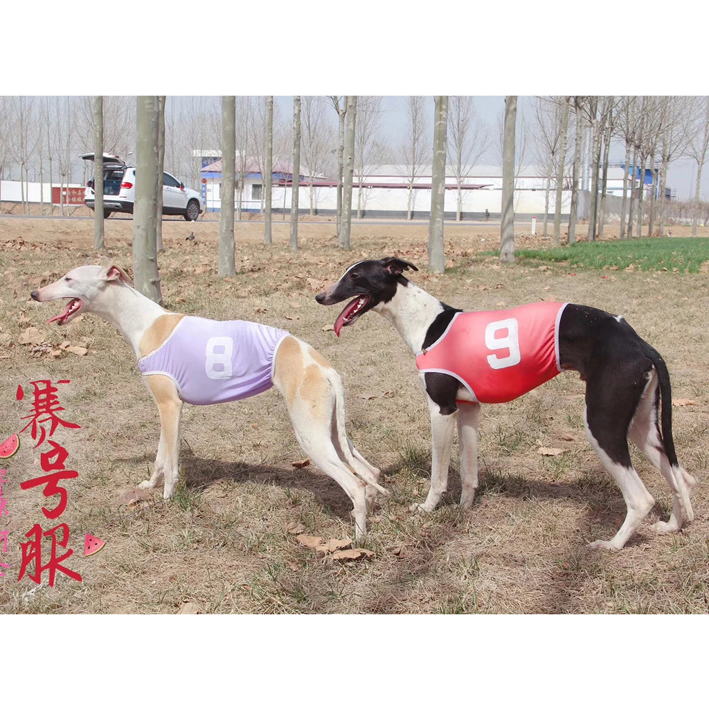 Pet Dog Clothes Vest Jackets Whippet Greyhound Suit Jersey Breathable Pets T-Shirt for Summer