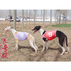 Pet Dog Clothes Vest Jackets Whippet Greyhound Suit Jersey Breathable Pets T-Shirt for Summer
