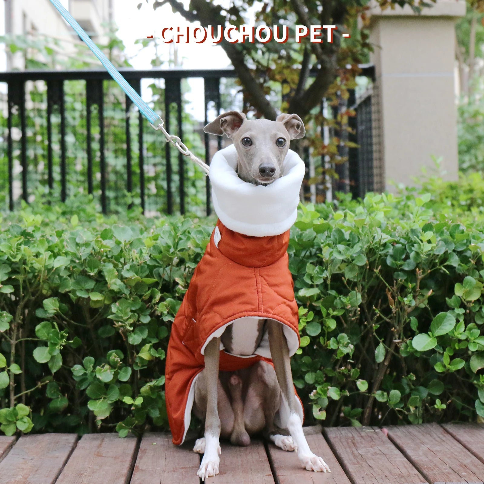 Winter Dog Outer Orange Quilted Turtle Collar Dog Coat Warm Italian Greyhound Adjustable Cotton Whippet