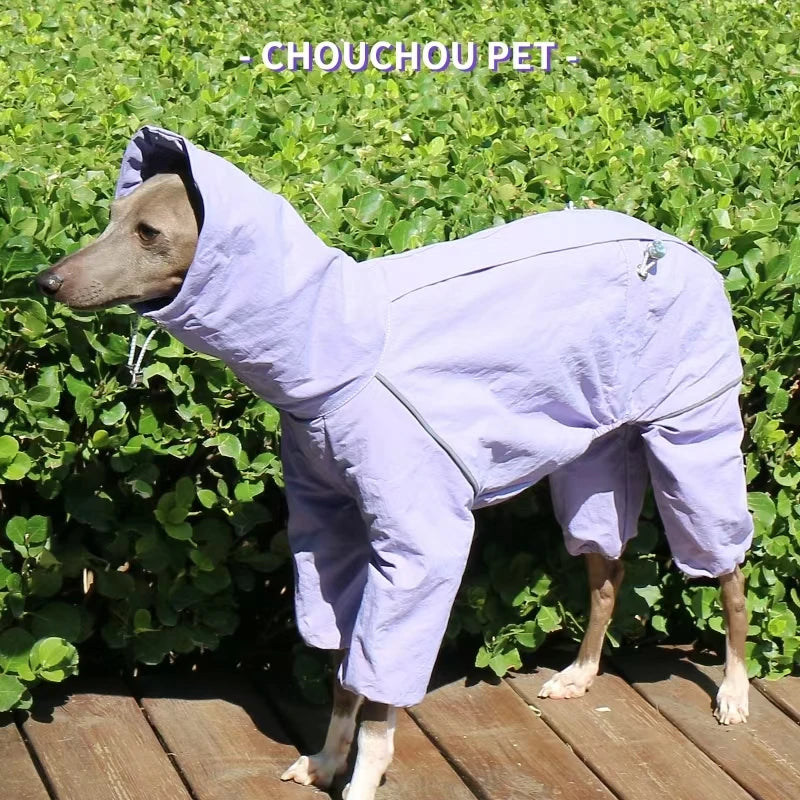 Italian Greyhound Raincoat Autumn and Winter Outdoor Pet Jacket Whippet Windproof and Rainproof Dog Clothes